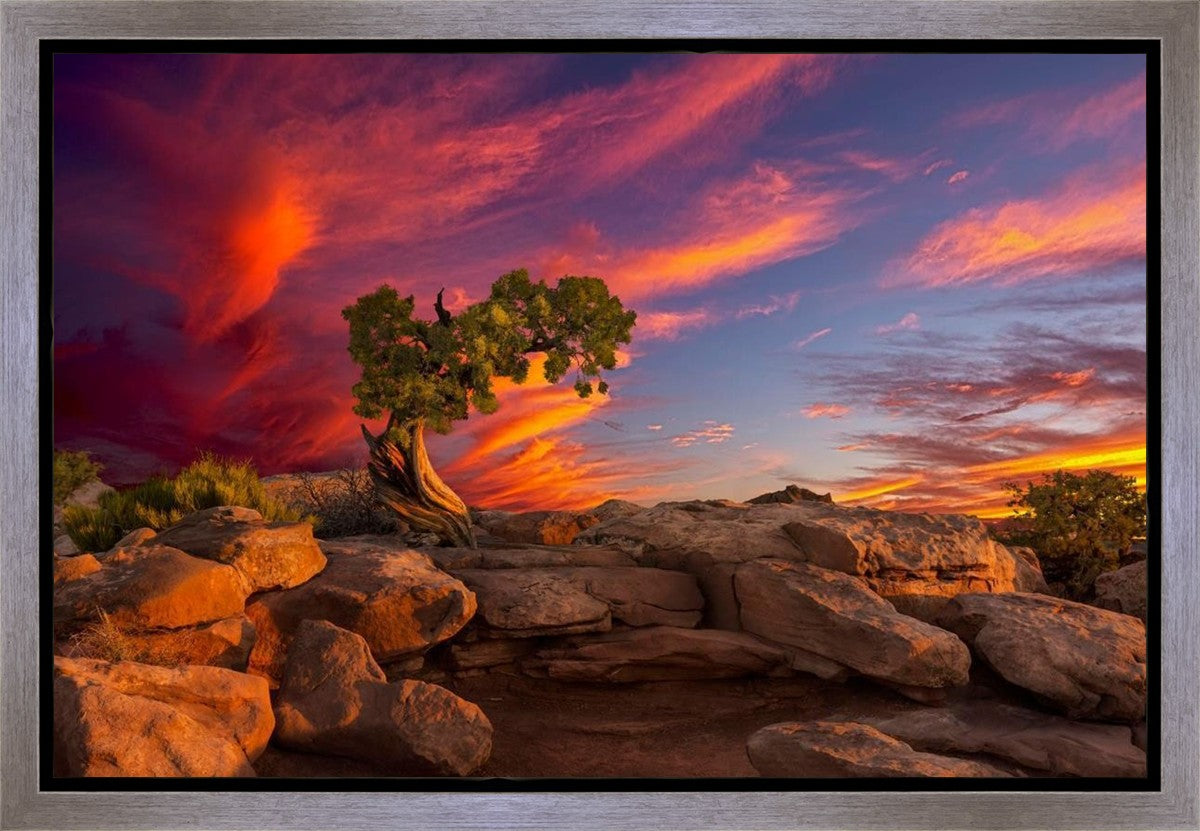 Moab Morning Gallery Wrap