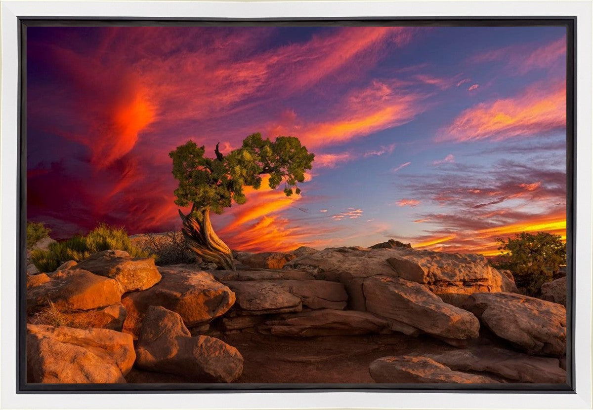 Moab Morning Gallery Wrap
