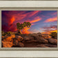 Moab Morning