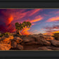Moab Morning