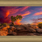 Moab Morning