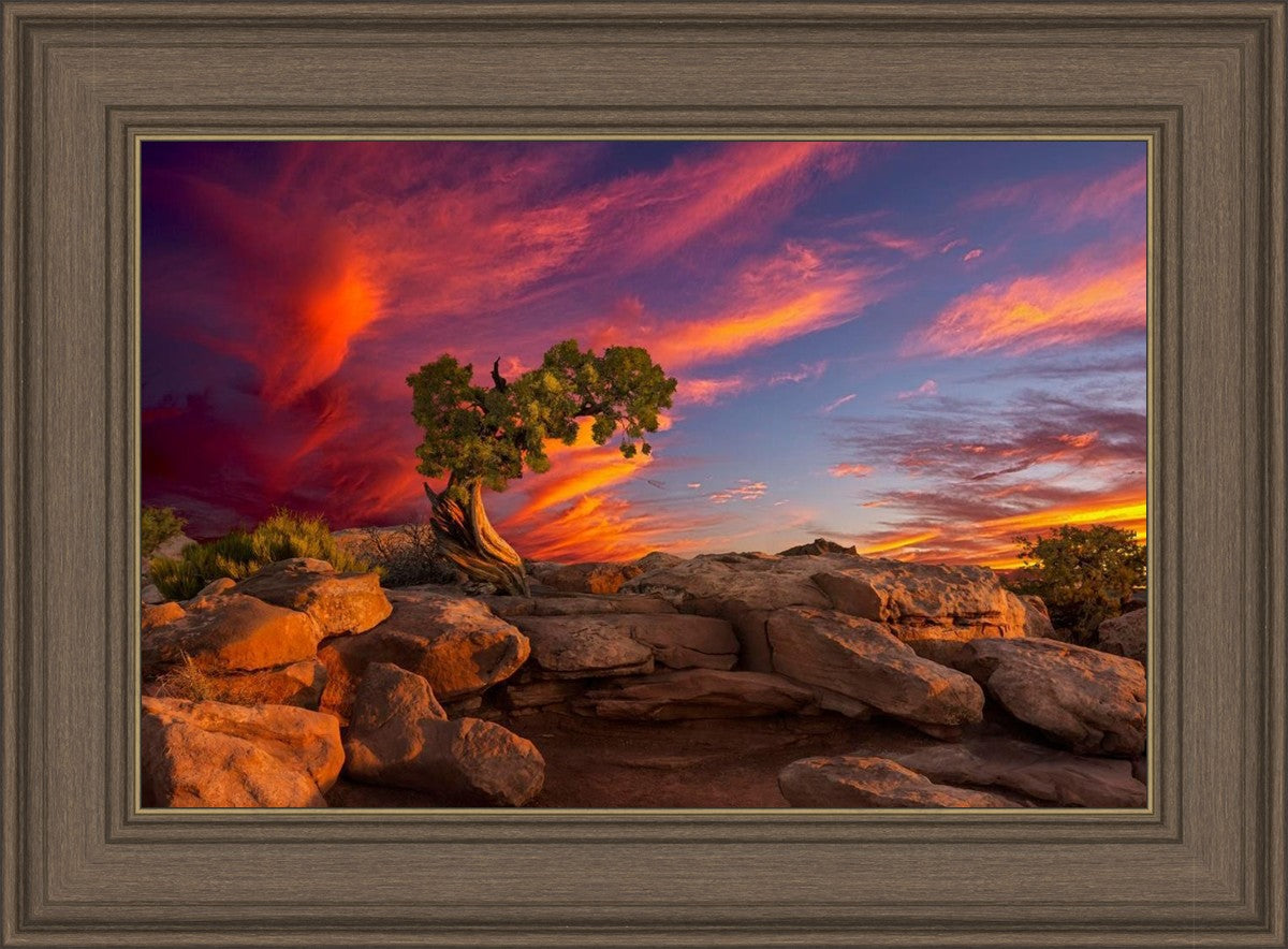 Moab Morning