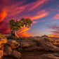Moab Morning