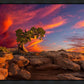 Moab Morning