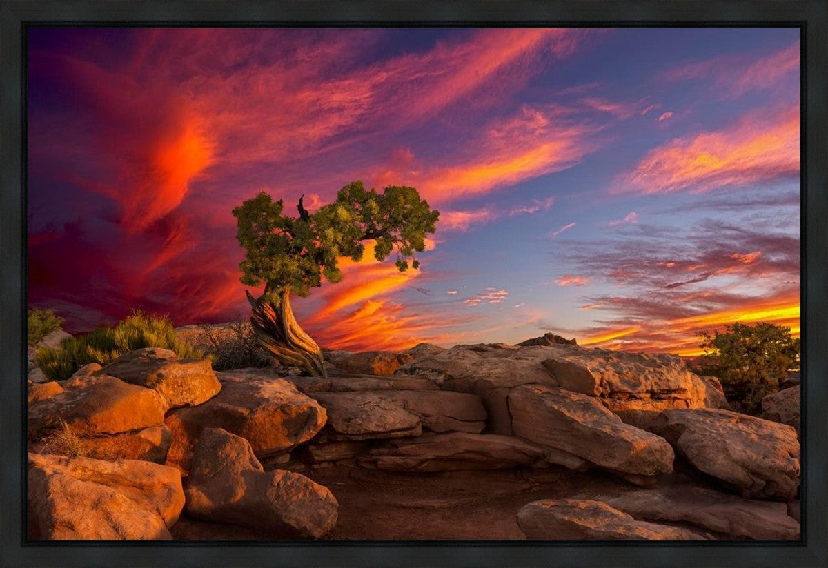 Moab Morning Gallery Wrap