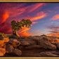 Moab Morning