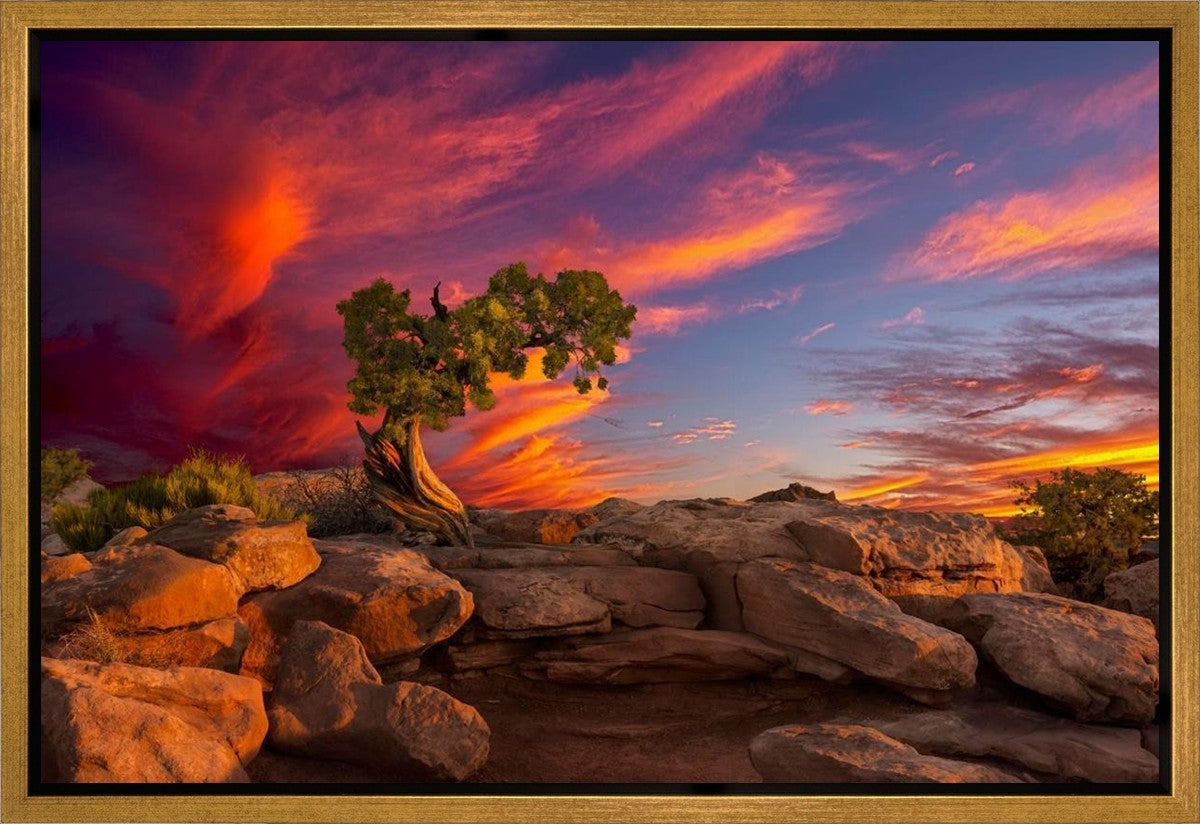 Moab Morning Gallery Wrap