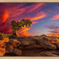 Moab Morning