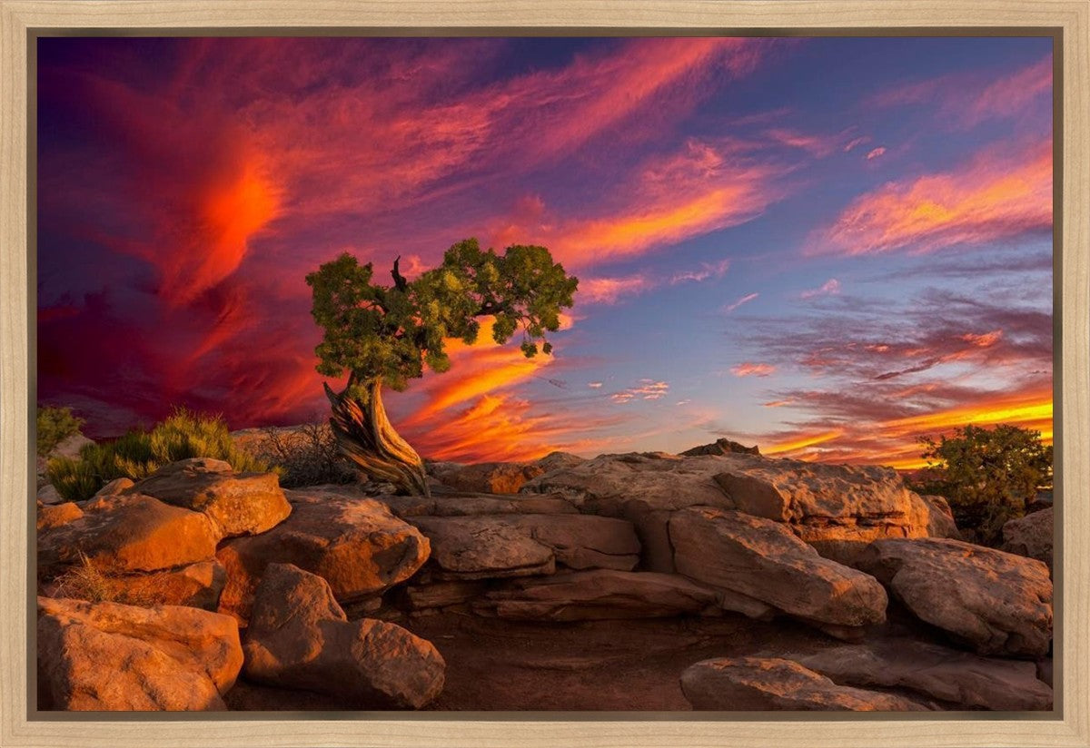 Moab Morning Gallery Wrap