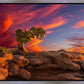 Moab Morning