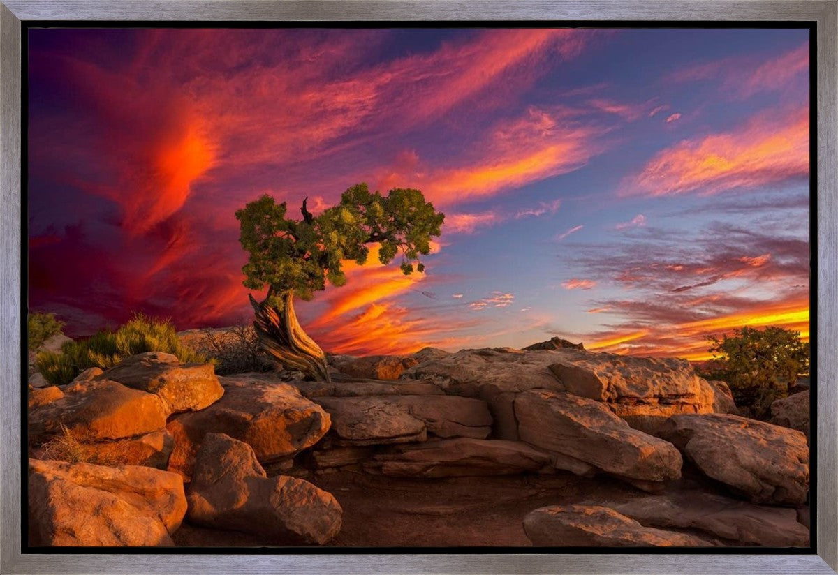 Moab Morning Gallery Wrap