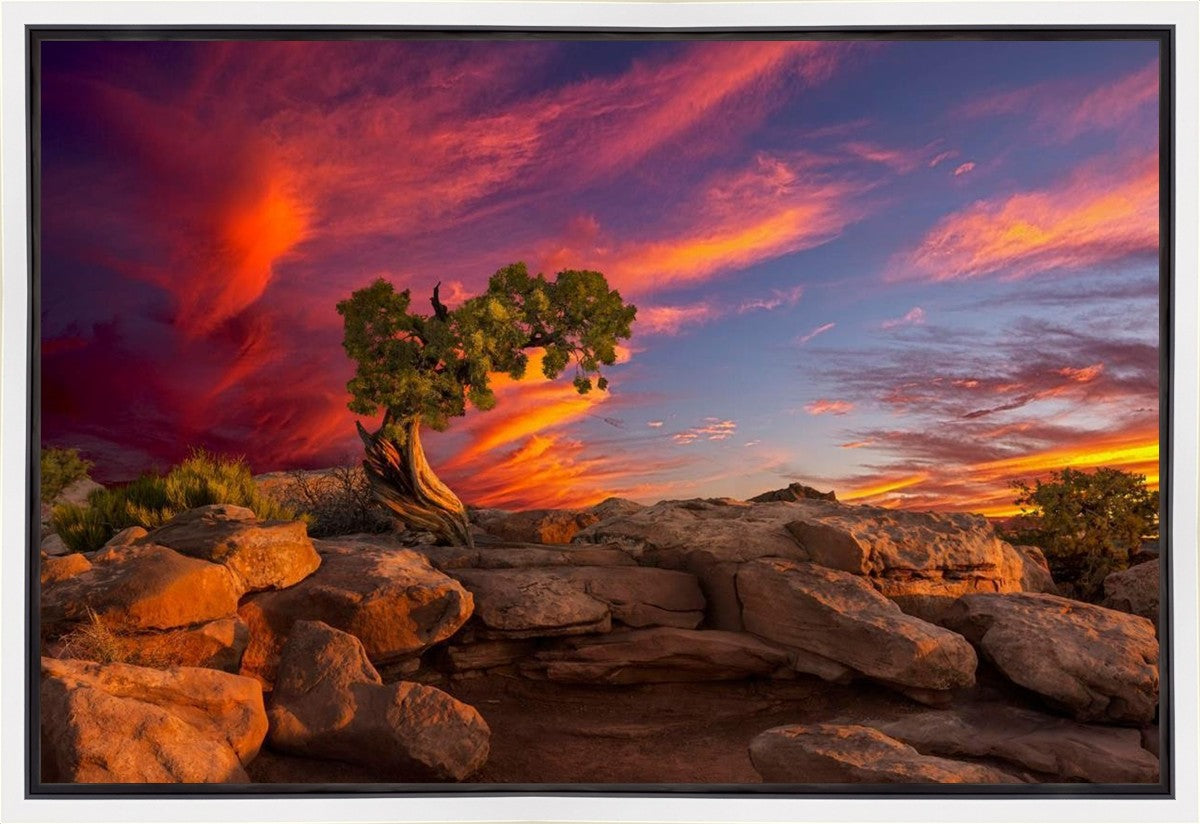 Moab Morning Gallery Wrap