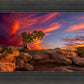 Moab Morning