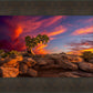 Moab Morning