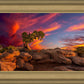Moab Morning