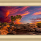 Moab Morning