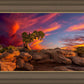 Moab Morning
