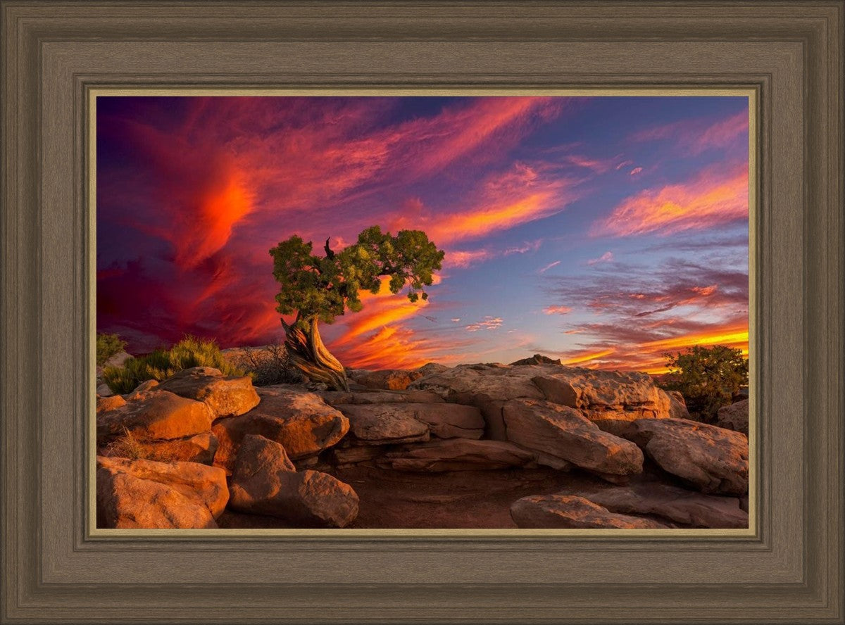 Moab Morning