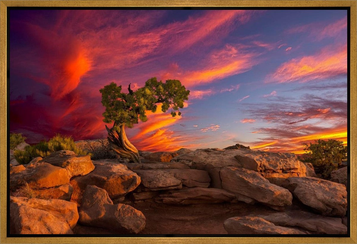 Moab Morning Gallery Wrap