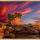 Moab Morning