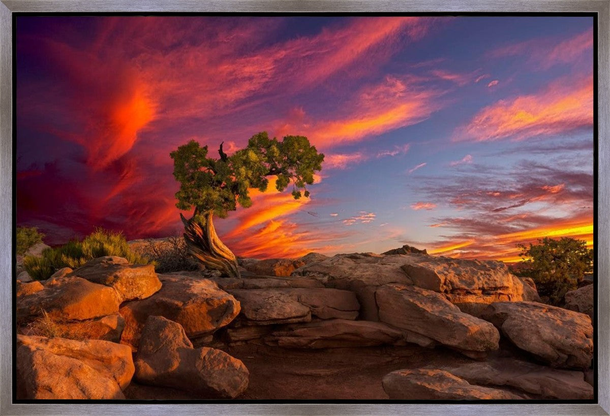 Moab Morning Gallery Wrap