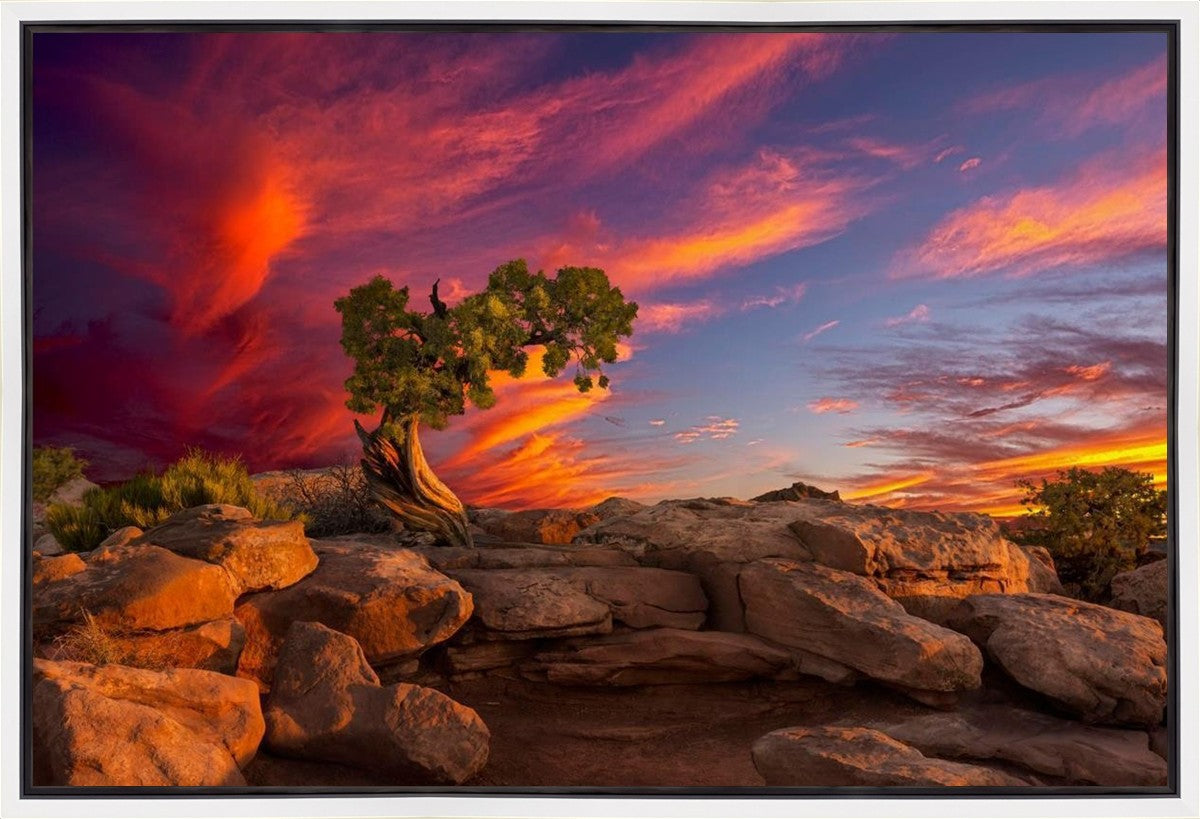 Moab Morning Gallery Wrap