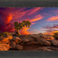 Moab Morning