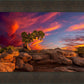 Moab Morning