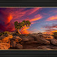Moab Morning