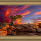 Moab Morning