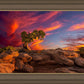 Moab Morning