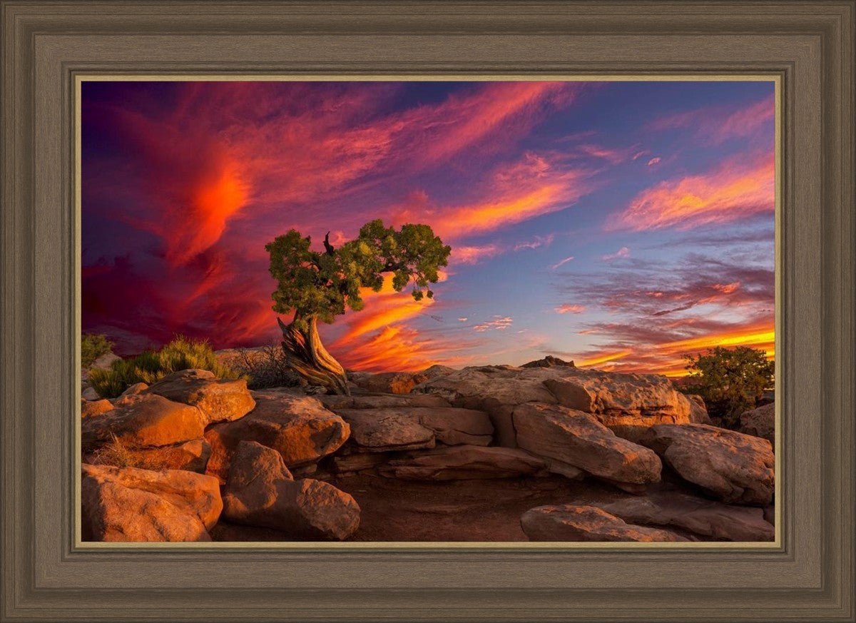 Moab Morning