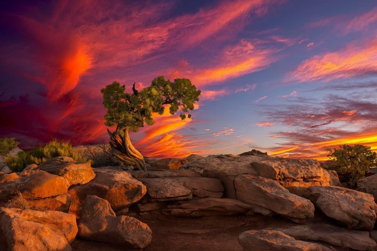 Moab Morning Gallery Wrap