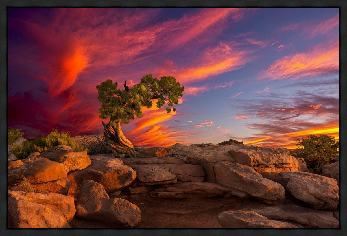 Moab Morning Gallery Wrap