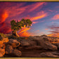 Moab Morning
