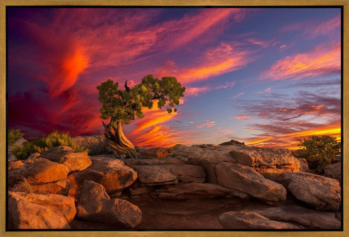 Moab Morning Gallery Wrap