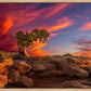 Moab Morning