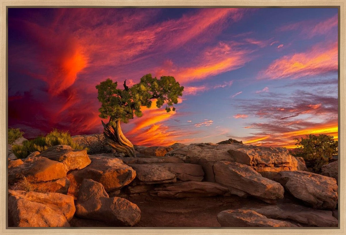 Moab Morning Gallery Wrap