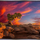 Moab Morning