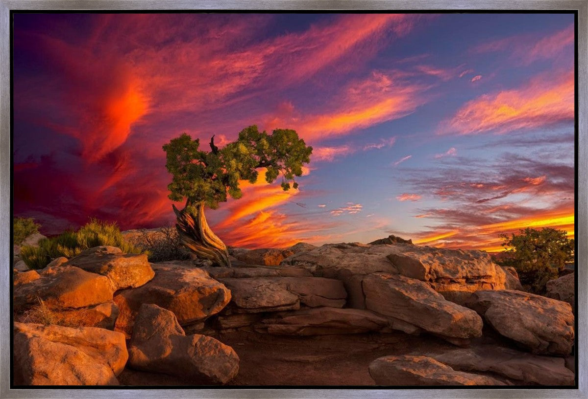 Moab Morning Gallery Wrap