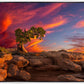 Moab Morning