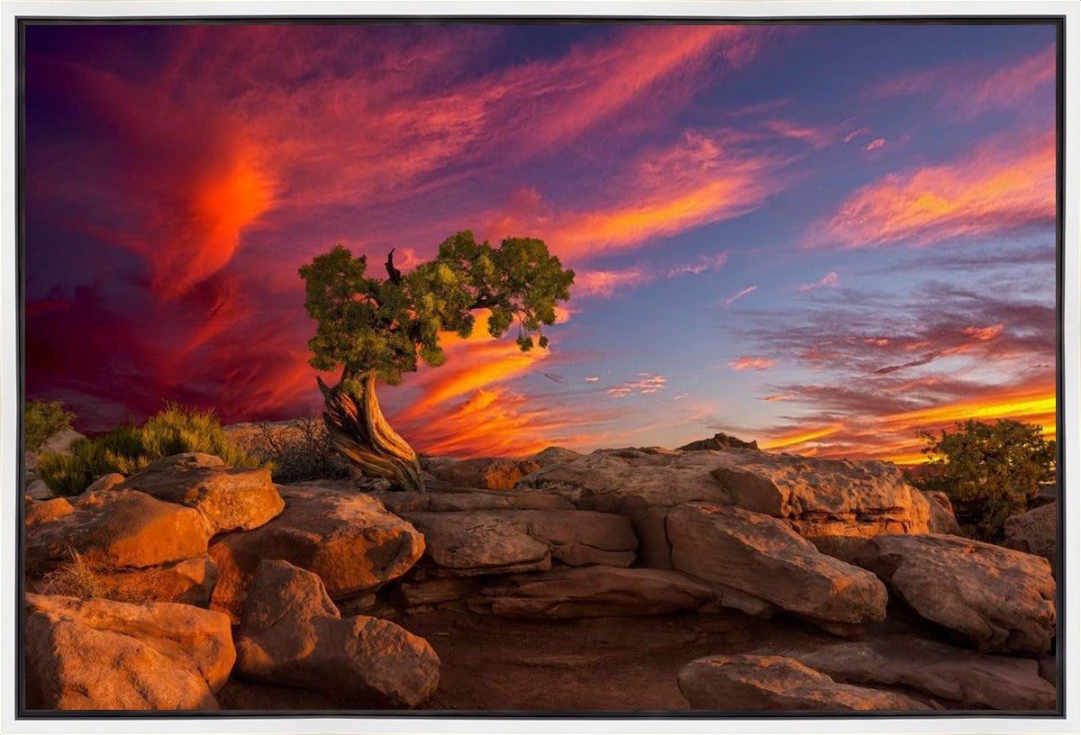 Moab Morning Gallery Wrap