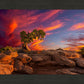 Moab Morning