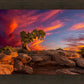 Moab Morning