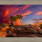 Moab Morning