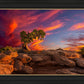 Moab Morning