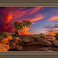 Moab Morning