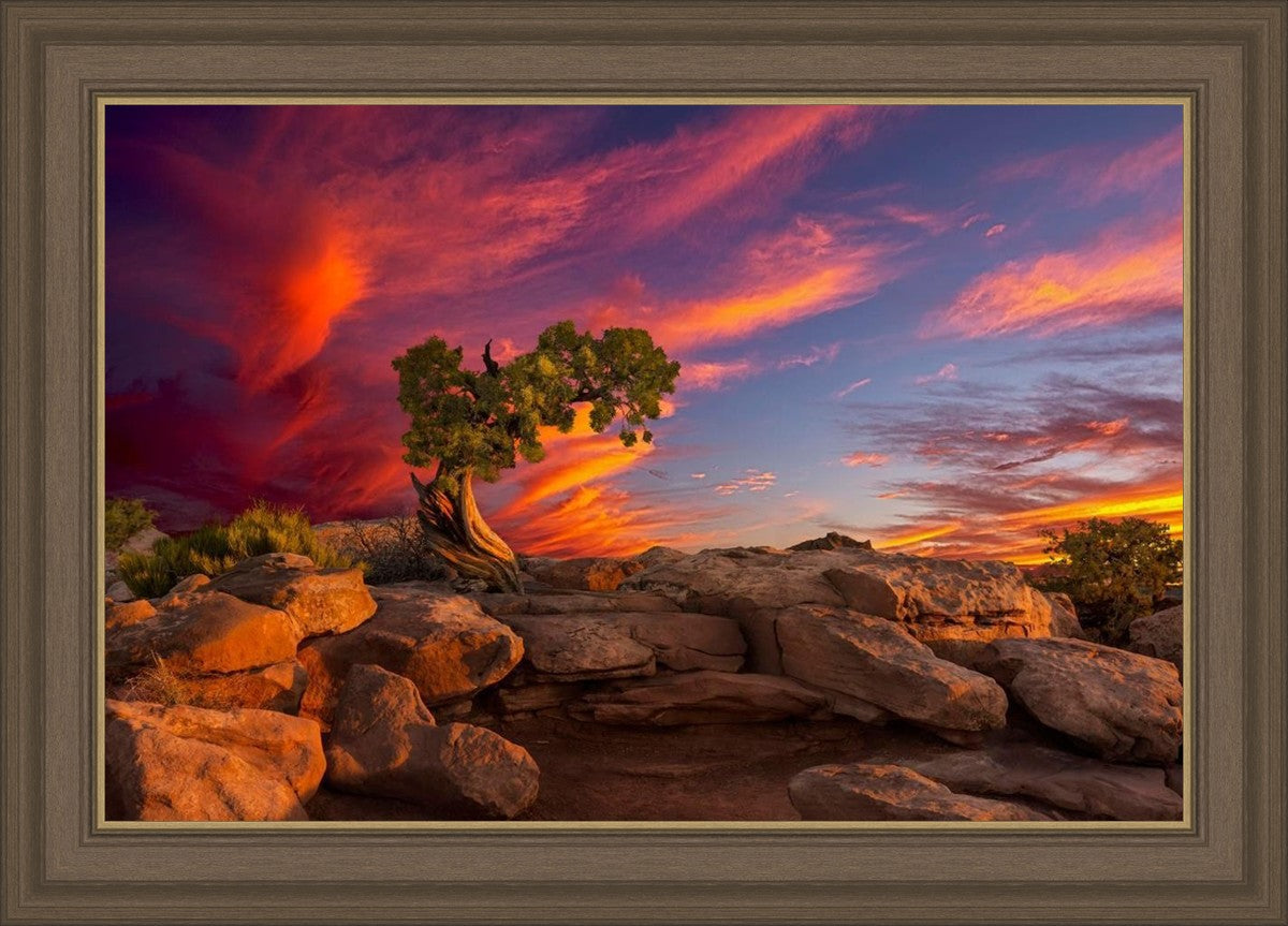 Moab Morning