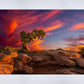 Moab Morning