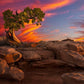 Moab Morning
